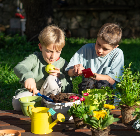 Actividades jardineria